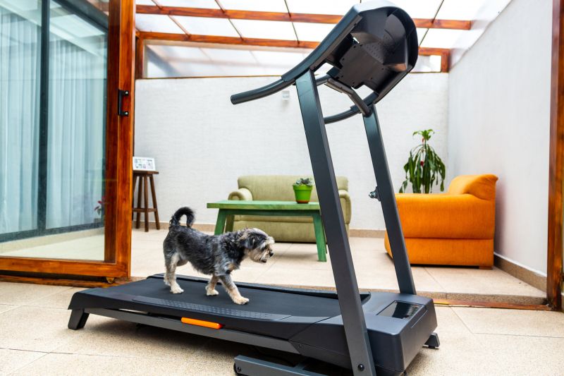 Treadmill Moving Costs — cost of