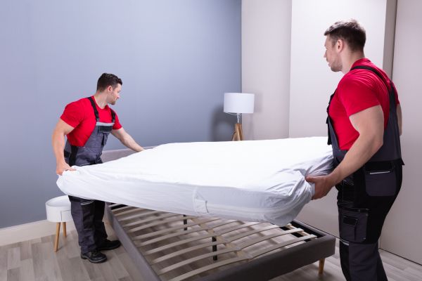 Grow your Treadmill And Gym Equipment Moving Services business